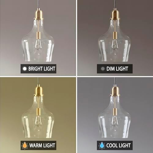 Ink+Ivy Auburn Pendant Kitchen Lighting for Dining Room, Industrial Lights, Hand-Blown Glass Bell Shaped Pendant Light for Kitchen Island, Foyer, Bedroom, 13" Dia x 95.5" H, Gold/Clear
