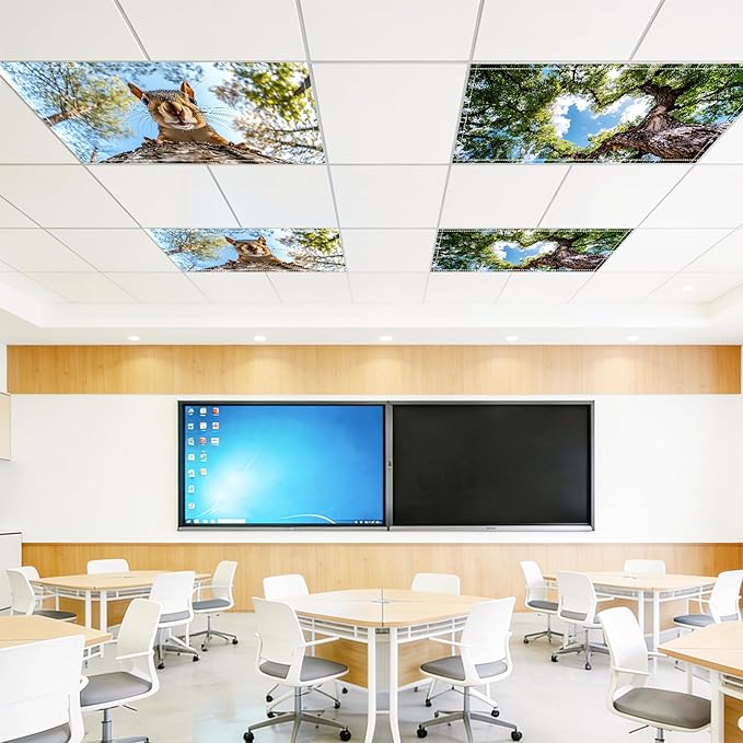 4 Pack 2x4 FT Magnetic Fluorescent Light Covers, Ceiling Light Filters for Classroom Office Home Hospital, Easy Install Decorative Drop Ceiling Panels