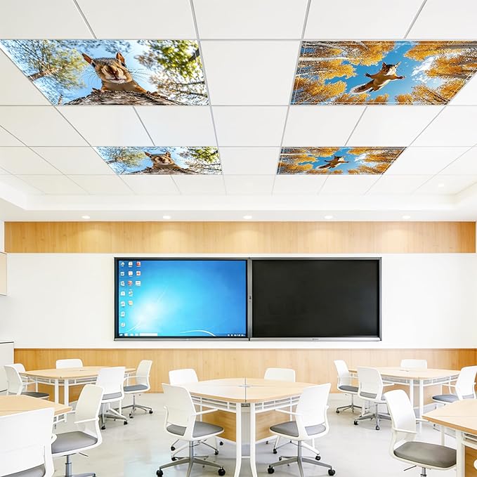 4 Pack 2x4 FT Magnetic Fluorescent Light Covers, Ceiling Light Filters for Classroom Office Home Hospital, Easy Install Decorative Drop Ceiling Panels
