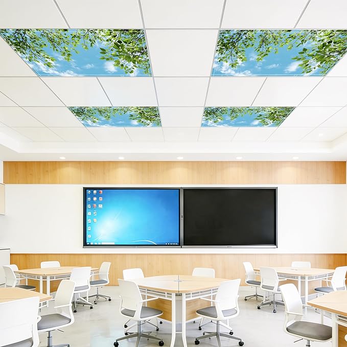 4 Pack 2x4 FT Magnetic Fluorescent Light Covers, Ceiling Light Filters for Classroom Office Home Hospital, Easy Install Decorative Drop Ceiling Panels