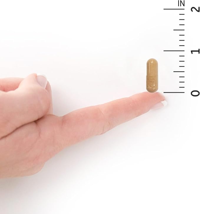Garden of Life Vitamin Code®、RAWプレネイタル™、ベジタリアンカプセル90粒
