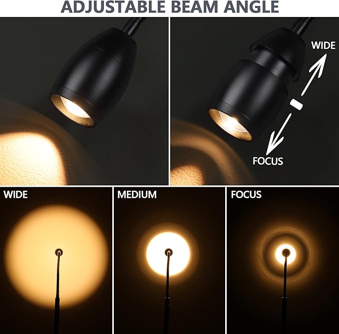 Reading Floor Lamp 10W High Wattage, 72" Tall LED Lamp with Gooseneck, Dimmable Zoomable Spotlight, Adjustable Color Beam Standing Lamp, Touch & Remote Control, Task Craft Living Room, Matte Black