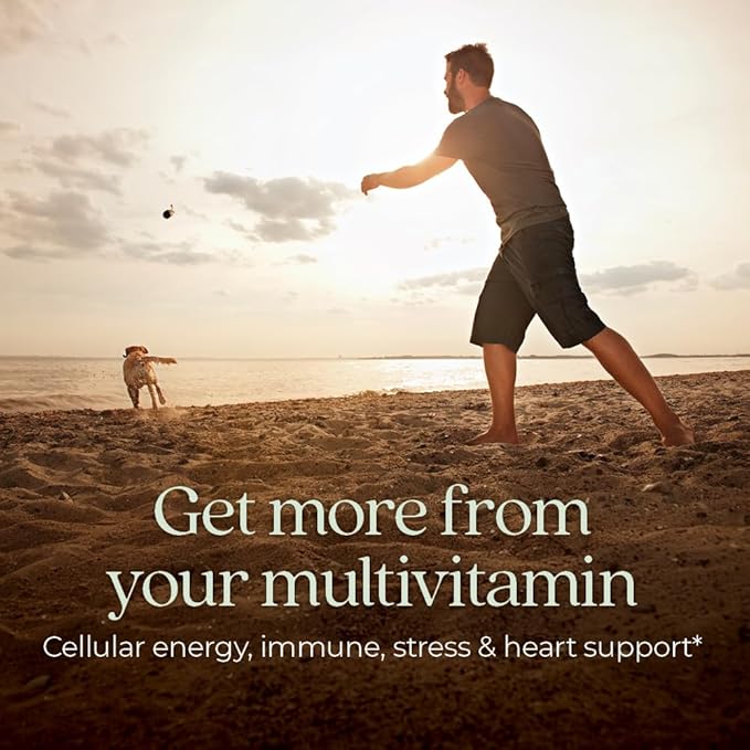 New Chapter Men’s Multivitamin, B6, Extra B12, D3, Vitamin C & Zinc, Immune, Heart, Cellular Energy, and Brain Health, Gentle on The Stomach, One Daily, Non-GMO, Gluten-Free, 18+, 72 Tablets