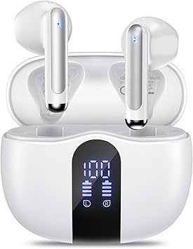 https://m.media-amazon.com/images/I/613Ye7mNGzL._AC_SY355_.jpg