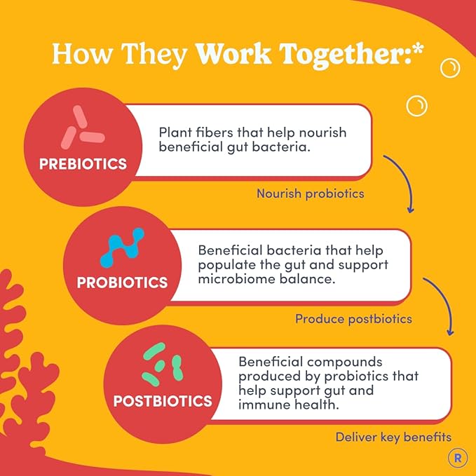 Gummies Probiotiques Enfants FIRST DAY - Probiotiques 3-en-1 pour enfants + Prébiotiques et Postbiotiques - Prébiotiques et Probiotiques pour la Santé Digestive et le Soutien Immunitaire – Végétalien, Sans Gluten, Approvisionnement de 30 Jours