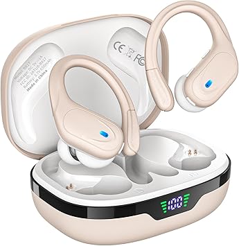 https://m.media-amazon.com/images/I/6149YFdWD+L._AC_SY355_.jpg