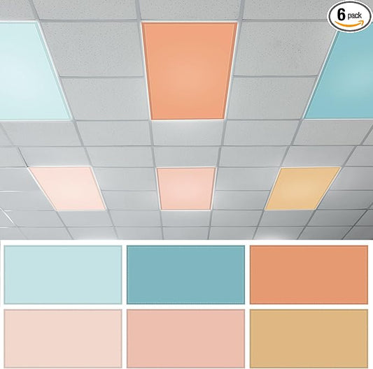 QOUBAI 6PCS Fluorescent Light Covers, 4x2 Feet Magnetic Light Cover Fluorescent Lights Shade Panel Positive Inspirational Ceiling Lights Filters for Office Classroom Home Drop Ceiling Pastel Boho