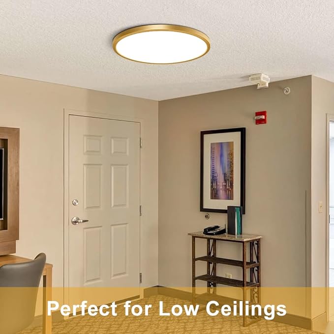 12 Inch Gold Flush Mount Ceiling Light, 2 Pack 24W 3200LM 5000K Daylight White LED Ceiling Light Fixture, Ultra Thin Round Flat Ceiling Light for Bedroom, Kitchen, Bathroom, Hallway