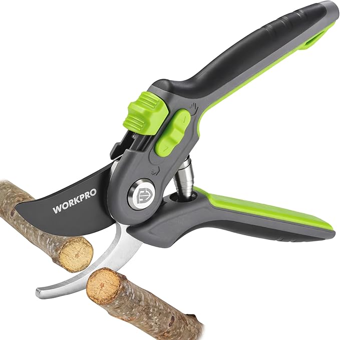 WORKPRO Bypass Pruning Shears for Gardening, 8" Garden Scissors with Dual-Size Opening for Thin & Thick Branches, Garden Clippers with Sharp SK5 Steel Blades for Pruning, Cutting and Fruit Picking
