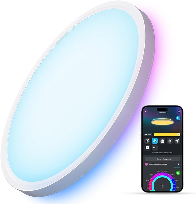 Govee Smart Ceiling Light, RGBIC LED Ceiling Light Fixture, 2400LM Flush Mount Light Fixture, DIY Colors, Works with Matter Alexa, 2700K-6500K Lights for Bedroom, Living Room,12 Inch, 1 Pack (White)