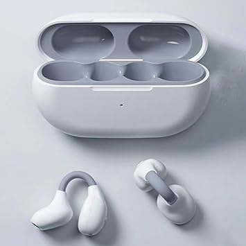 https://m.media-amazon.com/images/I/61IIItipmEL._AC_SY355_.jpg