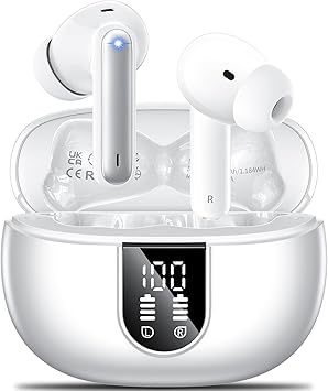 https://m.media-amazon.com/images/I/61Rj66MGXeL._AC_SY355_.jpg