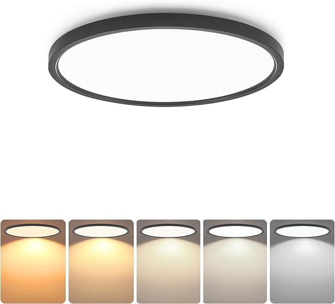TALOYA 2 Pack of Black 10 Inch LED Ceiling Light Fixture Flush Mount for Closet Porch, 5 CCT Options, Energy Efficient Ceiling Fixture 20W Equivs to 120W Traditional Lamp Perfect for Low Ceiling