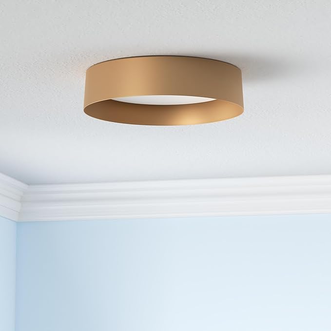 Bargeni 16.5" Gold Flush Mount Ceiling Light, LED Ceiling Fixture | 30W dimmable LED light with 3000K warm glow, ideal for living rooms, bedrooms, hallways and foyers