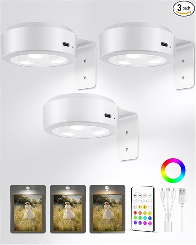 EZVALO Picture Lights for Wall, 2000mAh Rechargeable Battery Magnetic Poster Lights with 3 Color Temps & 12 RGB, Remote Dimmable Timer Painting Light, Wall Decor Light for Art Display, Frame (3 Pack)