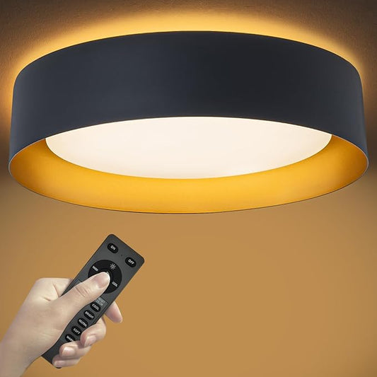 Bargeni Flush Mount Ceiling Light with Remote & Night Light, Black Gold | 12.5" 24W dimmable LED ceiling light with 5CCT (2700K-6000K), ideal for bedroom, living room and kitchen