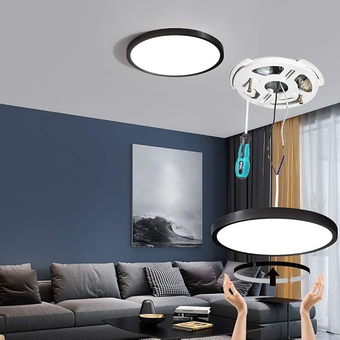TALOYA 2-Pack 15.8" LED Flush Mount Ceiling Light Fixture,24W 5CCT,Black | 100–240 VAC Input,Edge-Lit LED Modern Ceiling Lamp for Living Room,Bedroom,Hallway,Kitchens