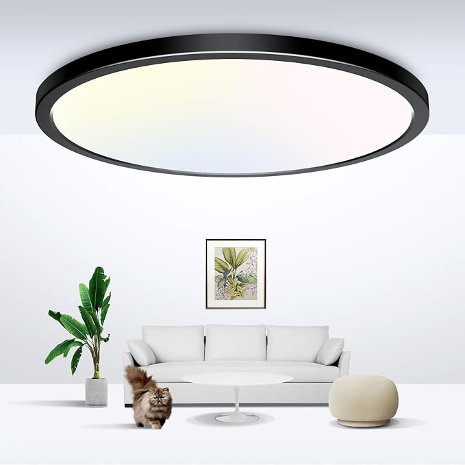 zemty Black Ceiling Light 9 Inch,24W 2400lm Bright LED Flush Mount Light Fixture 3000K/4500K/6000K Adjustable,Thin Flat Ceiling Lamp for Bathroom Closet Pantry Hallway