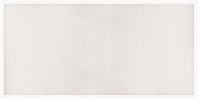 Lithonia Lighting CPX 2x4 LED Flat Panel Light, 2 ft. x 4 ft. LED Light Panel, Ceiling Lighting Fixture for Shop Lighting, 4000 Lumens, 4000K Cool White, A12 Prismatic Lens, White