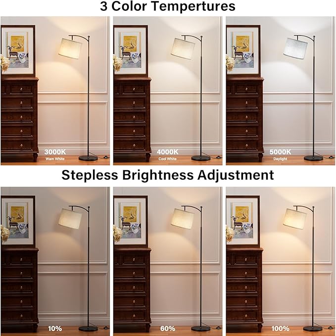 Ambimall 60" Floor Lamp with Remote Control and Stepless Dimmable Bulb, Colors Temperature & Brightness Adjustable, Modern Floor Lamps for Living Room, Gray Shade & Black Pole