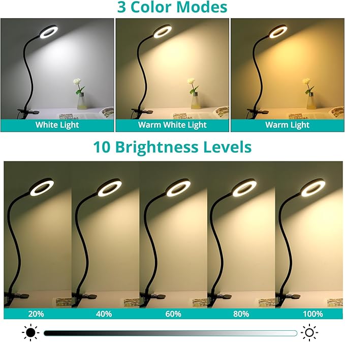 Woputne Desk Lamp with 5X Magnifying Glass,3 Color Modes 10 Brightness Levels,Reading Light Eye-Caring,Flexible Gooseneck Clip On Light with 5V/2A Adapter for Home Office Craft Close Work