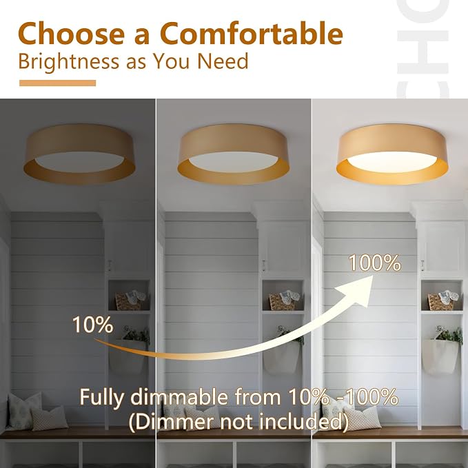 Bargeni Gold Flush Mount Ceiling Light, LED Ceiling Light Fixture | 12.5" ETL-listed dimmable 18W LED light with 3000K warm glow, ideal for bedrooms, hallways, foyers and living rooms
