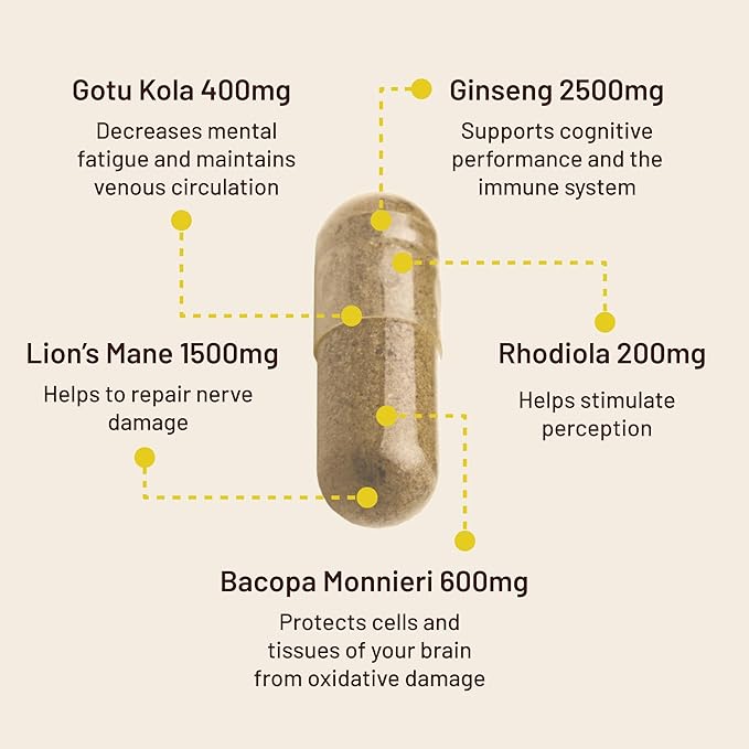 Pack Équilibre Cerveau & Corps Vegan Vitality : 120 Gélules de Champignon Crinière de Lion Nootropique pour le Soutien Cérébral et 60 Gélules de Vitamine D3 + K2 Végane 4000 UI (100 µg)
