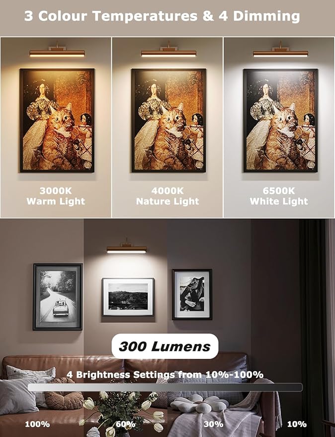 13" Aluminum Wireless Picture Lights for Wall, 5000mAh Rechargeable Battery Operated Wall Art Lighting, Dimmable 3-Color Gallery Painting Light for Pictures On Wall, with Remote/Timer [Bronze, 1Pack]