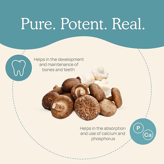Real Mushrooms 椎茸＆アガリクス由来ビタミンD2 – ビーガンキノコベースDサプリメント – 全体的な健康をサポートするビタミン – オーガニック、非遺伝子組み換え、1000 IU – 120粒 機能性マッシュルーム