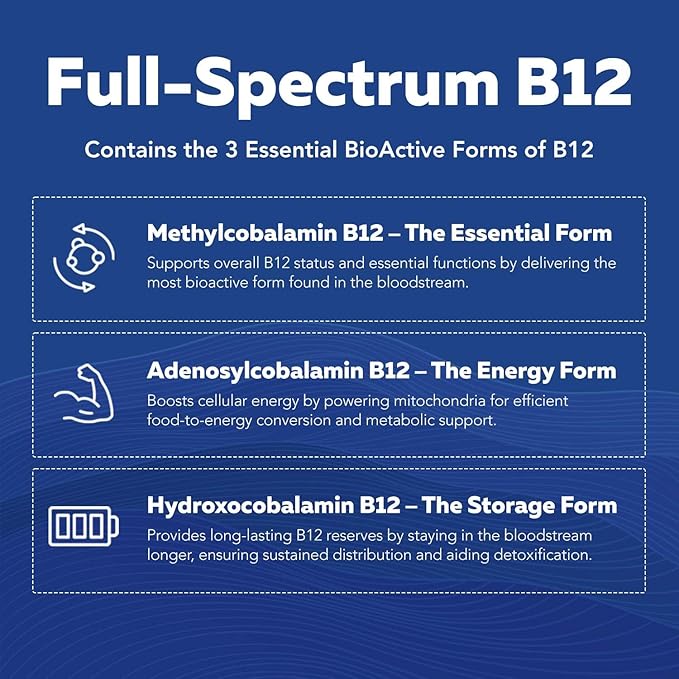 Complexe de Vitamines B BioActives Prêtes à l'Emploi, Complexe B Méthylé Contenant du Méthylfolate, 3 Formes BioActives de B12, BenfoPure® B1 & Pantesin® B5, 12 Vitamines B à Doses Cliniques (120 Portions - Lot de 2)