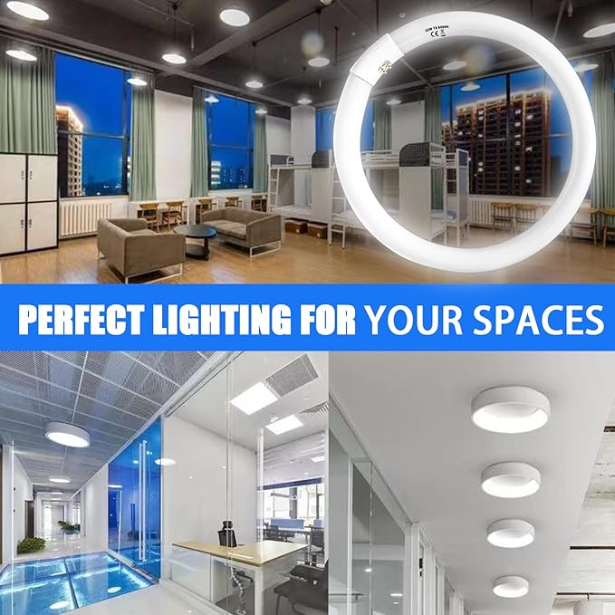 Celiwace FC16T9 40 Watt and FC12T9 32W Set 6500K, 16 inch T9 40W Circline Light Bulbs, 12 inch 32W Circular Fluorescent Round Bulb CRI 80, DL 4700 Lumen G10q