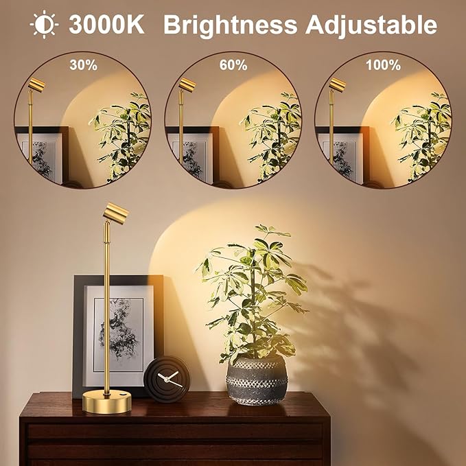 IMAGE Golden Cordless Spotlight High-Power Adjustable Table Accent Light for Plants, Artwork, Jewelry Displays, Shelves, and Cabinet, Warm White Wireless, USB Type-C, for Home, Restaurant, and Bar