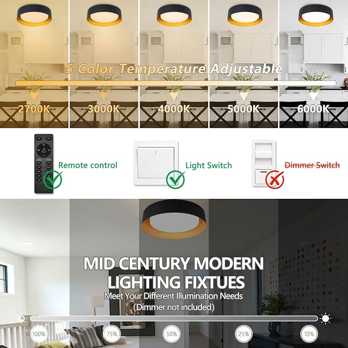Bargeni Flush Mount Ceiling Light with Remote & Night Light, Black Gold | 12.5" 24W dimmable LED ceiling light with 5CCT (2700K-6000K), ideal for bedroom, living room and kitchen