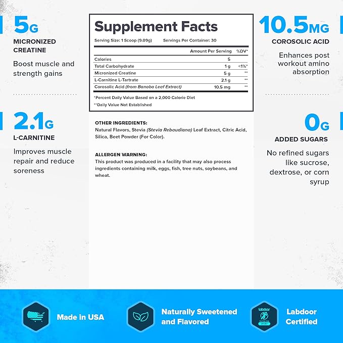 LEGION Recharge Post Workout Supplement - All Natural Muscle Builder & Recovery Drink with Micronized Creatine Monohydrate. Naturally Sweetened & Flavored, Safe & Healthy (Watermelon, 30 Serve)