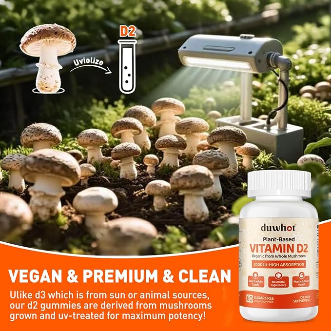 Gummies de Vitamine D2 2000 UI, Supplément de Vitamine D à Base de Plantes de Champignon Entier, pour le Soutien Osseux, Musculaire et Immunitaire, Apport Quotidien de Soleil, Végan, Sans OGM, Orange, 60 Gommes