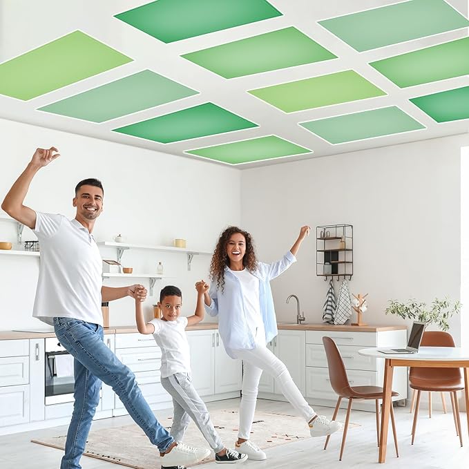 QOUBAI 12PCS Fluorescent Light Covers, 4x2 Feet Magnetic Light Cover Fluorescent Lights Shade Panel Positive Inspirational Ceiling Lights Filters for Office Classroom Home Drop Ceiling Green