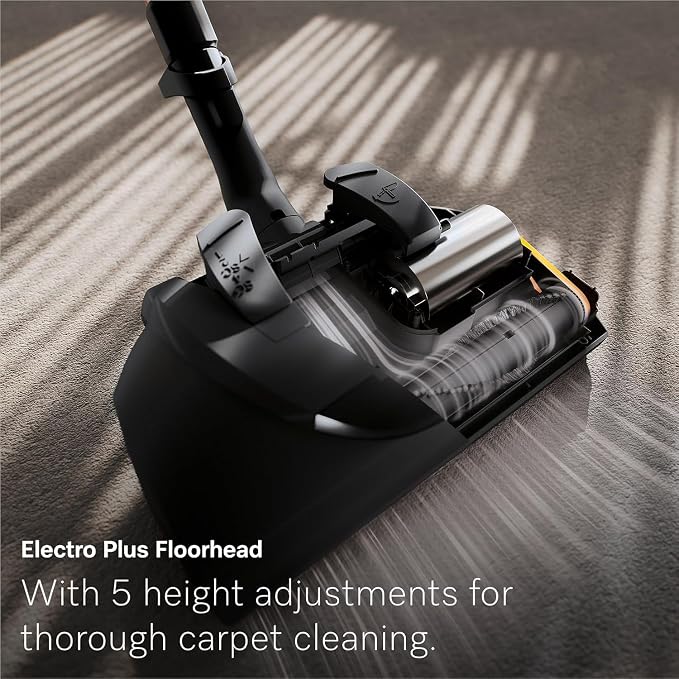 Miele Guard L1 Bagged Canister Vacuum Cleaner with AirClean Filter, Electro Plus Floorhead, AllTeQ Universal Floorhead, LED Display Panel, in Nordic Blue/Space Grey with Performance Pack