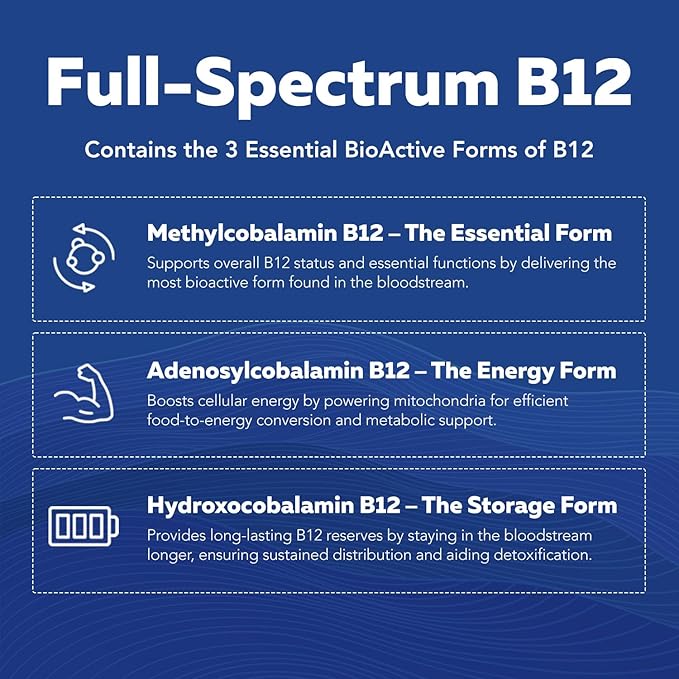 Complexe de Vitamines B BioActives - Prêtes à l'Emploi dans le Sang, Complexe B Méthylé - Contient du Méthylfolate, 3 Formes BioActives de B12, BenfoPure® B1 et Pantesin® B5 - 12 Vitamines B en Doses Cliniques - Liquide 120 ml
