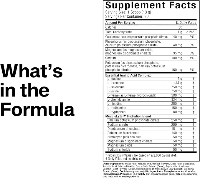 MuscleTech | Platinum Essential Amino Acids Supplement with Electrolytes | Pre-Workout Powder for Energy, Muscle Growth & Strength Builder for Men & Women | 387 grams | 30 Servings