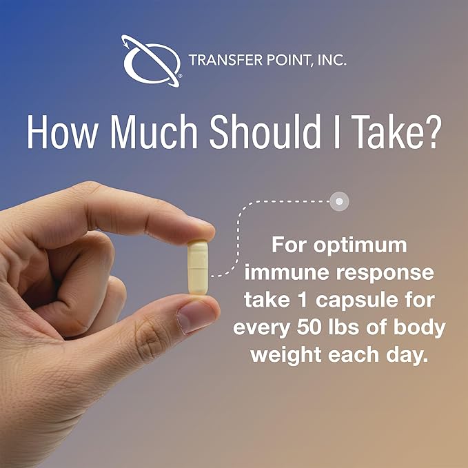 Transfer Point Immune Support Supplement 高純度ベータグルカン 500mg/カプセル (b-グルカン食物繊維) (1個パック)