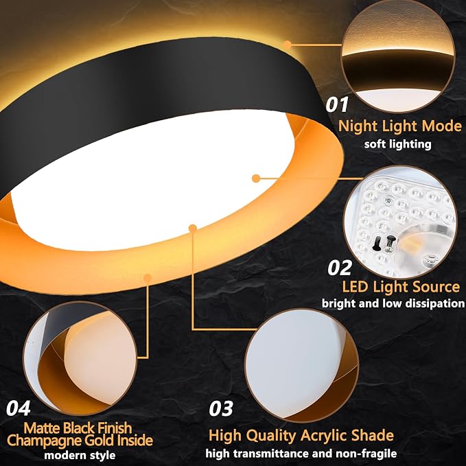 Bargeni Flush Mount Ceiling Light with Remote & Night Light, Black Gold | 12.5" 24W dimmable LED ceiling light with 5CCT (2700K-6000K), ideal for bedroom, living room and kitchen