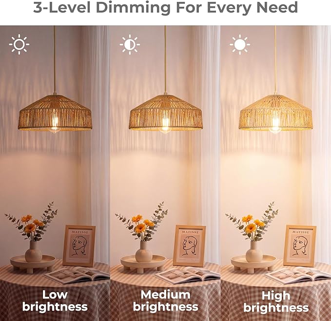 Qingmiao Boho Plug in Pendant Light, Rattan Hanging Lamp Plug in with Woven Shade, 3-Way Dimmable Hanging Light Fixture for Living Room Bedroom Kitchen Ceiling Home Decor