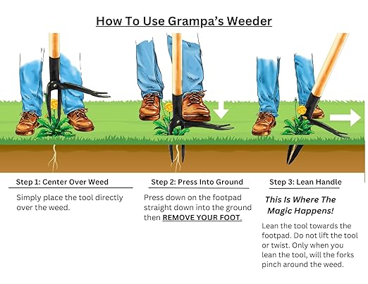 Grampa's Weeder - The Original Stand Up Weed Puller Tool with Long Handle - Made with Real Bamboo & 4-Claw Steel Head Design - Easily Remove Weeds Without Bending, Pulling, or Kneeling.