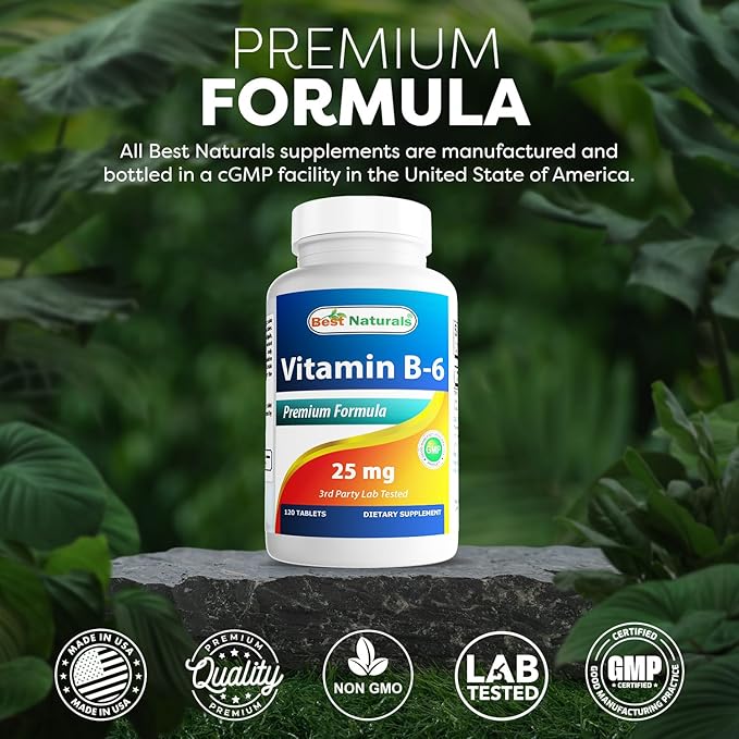 Best Naturals Vitamin B6 25mg, 120 Tablets (120 Count (Pack of 2))
