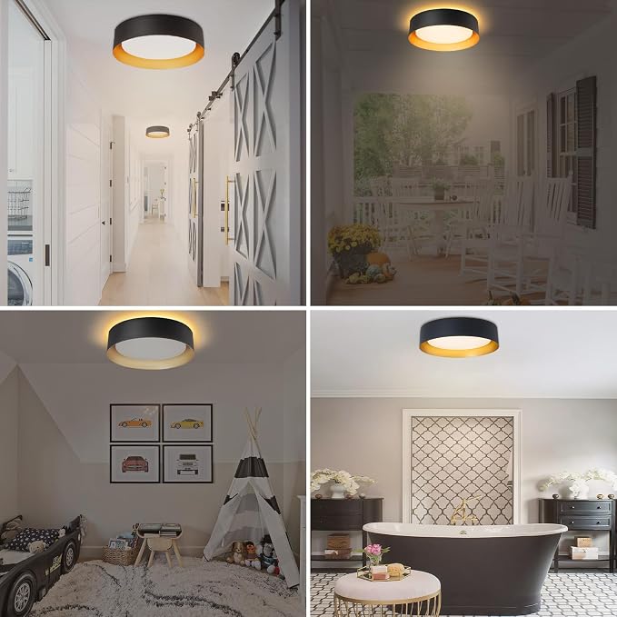 Bargeni Flush Mount Ceiling Light with Remote & Night Light, Black Gold | 12.5" 24W dimmable LED ceiling light with 5CCT (2700K-6000K), ideal for bedroom, living room and kitchen