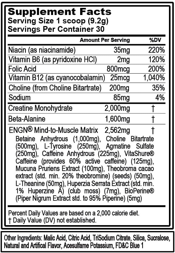 Evlution EVL Intense Pre Workout with Creatine - ENGN Energizing Pre Workout for Men Powder Drink for Lasting Energy Focus and Recovery - with Beta Alanine Caffeine and L Theanine - Rocket Pop