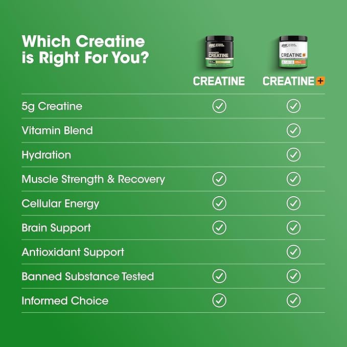 Optimum Nutrition Micronized Creatine Monohydrate Powder, Unflavored, 60 Servings, 300 Grams (Packaging May Vary)