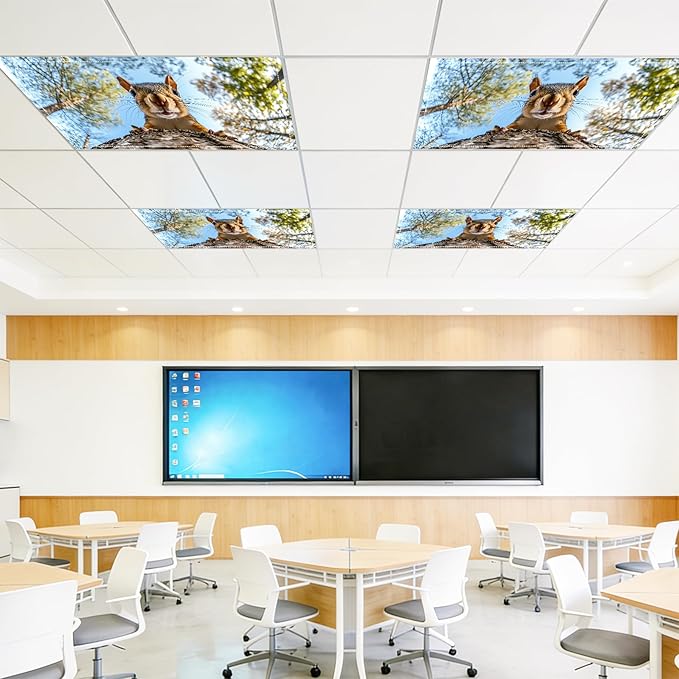 4 Pack 2x4 FT Magnetic Fluorescent Light Covers, Ceiling Light Filters for Classroom Office Home Hospital, Easy Install Decorative Drop Ceiling Panels