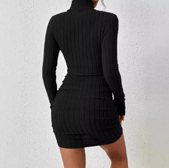 Robe élégante en maille moulante à col roulé