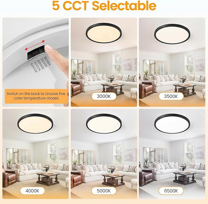 TALOYA 4-Pack 10 Inch Flush Mount LED Ceiling Light Fixture, 5CCT, Black | 100–240 VAC Input,Edge-Lit Low Profile Round Design Ideal for Bedroom,Bathroom,Kitchen,Laundry,Closet